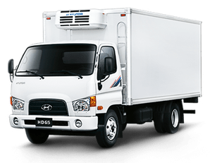 novi HYUNDAI HD65 4WD kamion hladnjača