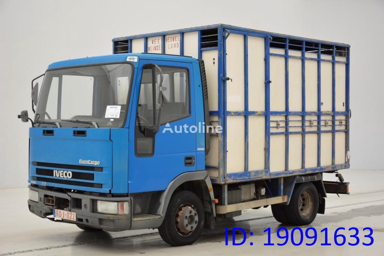 IVECO 65E14 kamion za prijevoz stoke