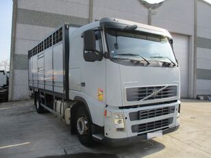 VOLVO FH12 kamion za prijevoz stoke