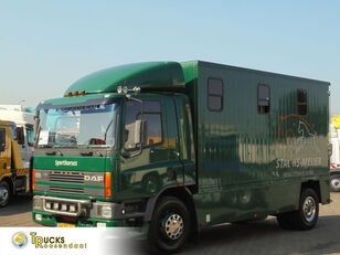 DAF CF 65 .180 ATI + Manual + Horse transport kamion za prevoz konja