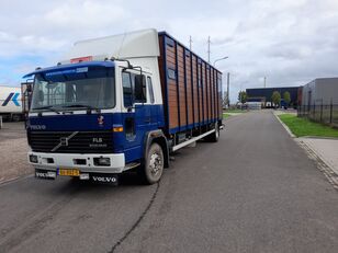 Volvo Fl615 kamion za prevoz konja