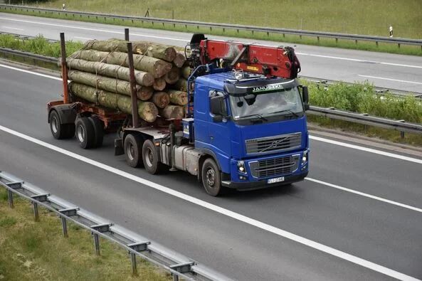 Volvo FH16 700 Do Dłużycy Long Wood Holztransporte LKW  kamion za prijevoz drva