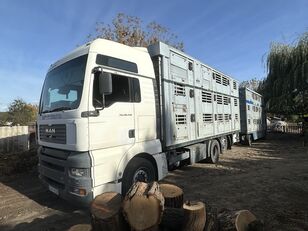 MAN TGA 26.440 kamion za prijevoz stoke + prikolica za prijevoz stoke